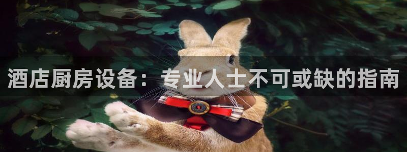 凯时ag旗舰厅网址是什么：酒店厨房设备：专业人士不可或缺的指