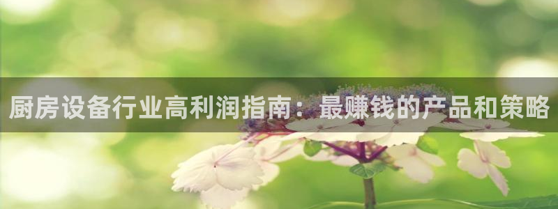 尊龙凯时电竞