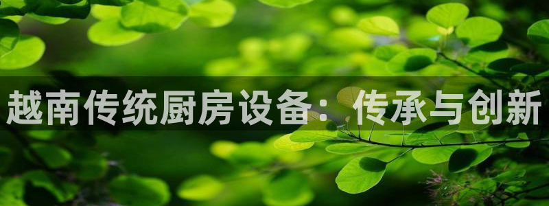 尊龙凯时始人生就是博：越南传统厨房设备：传承与创新