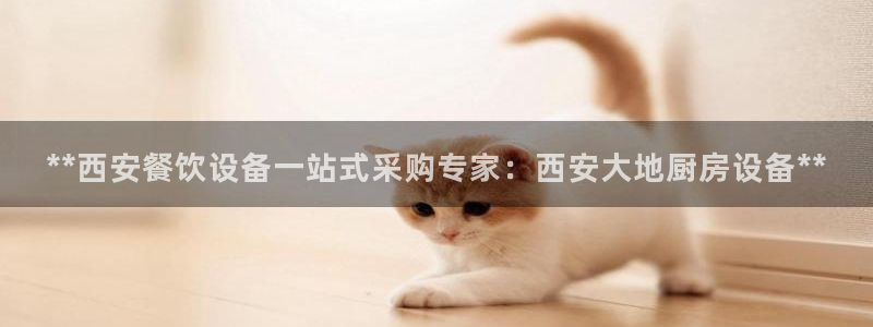 尊龙AG旗舰厅APP：**西安餐饮设备一站式采购专家：西安大