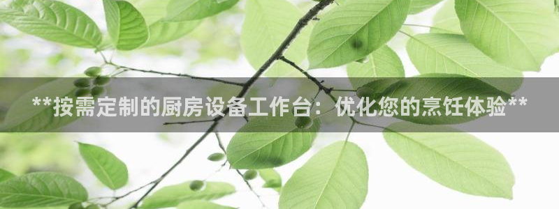 尊龙ag旗舰厅手机版：**按需定制的厨房设备工作台：优化您的