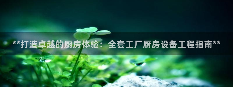KB88凯时官网登录：**打造卓越的厨房体验：全套工厂厨房设
