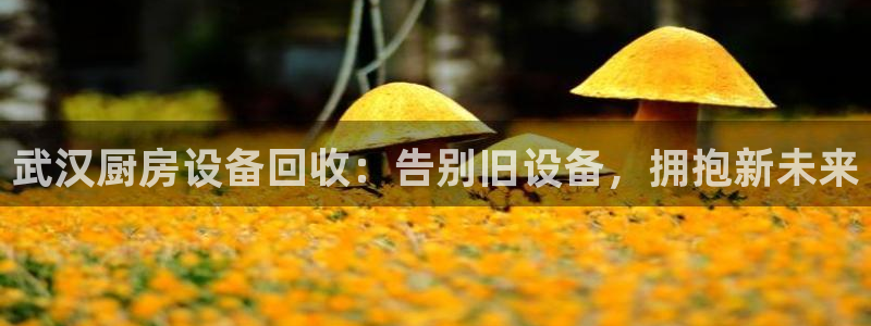 d88尊龙z6：武汉厨房设备回收：告别旧设备，拥抱新未来