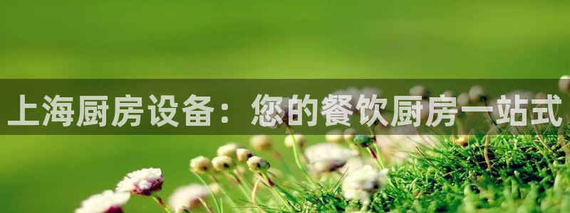 尊龙凯时人生就是博·(中国)：上海厨房设备：您的餐饮厨房一站