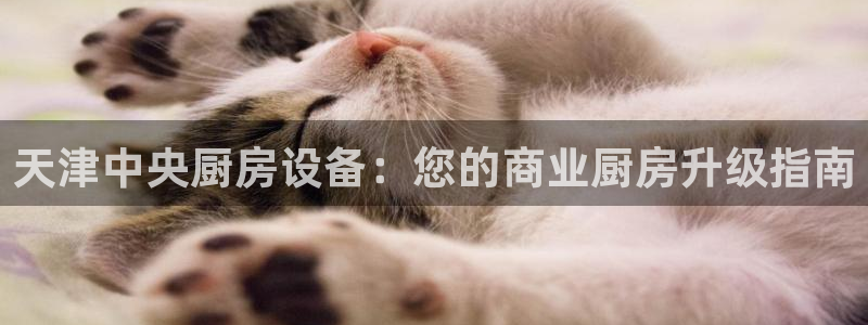 尊龙2016：天津中央厨房设备：您的商业厨房升级指南