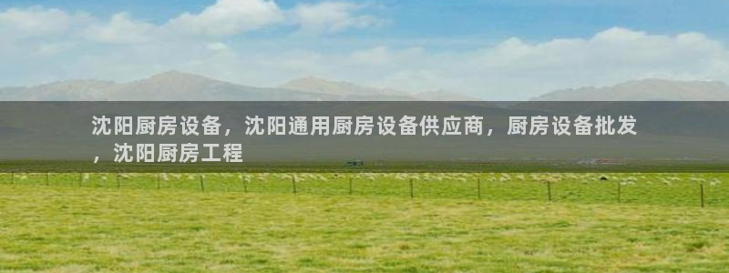 尊龙人生就是博下载：沈阳厨房设备，沈阳通用厨房设备供应商，厨