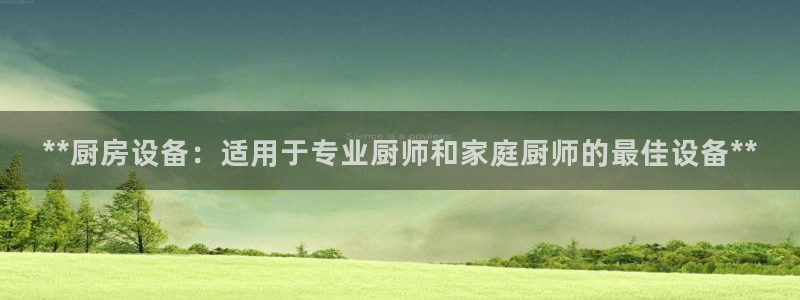 尊龙凯时美金能提取吗：**厨房设备：适用于专业厨师和家庭厨师