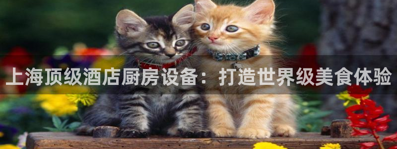 旧版尊龙人生就是博下载：