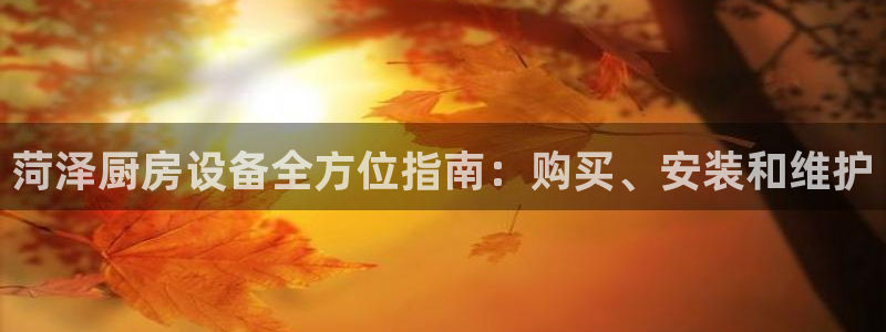 尊龙新版App下载：菏泽厨房设备全方位指南：购买、安装和维护