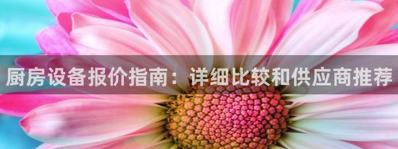 尊龙手机客户端下载：厨房