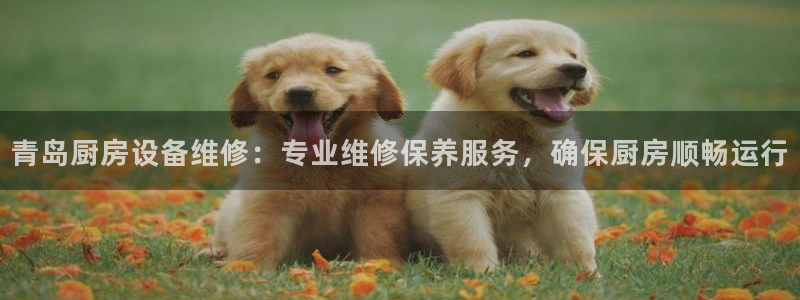 尊龙凯时是正规平台吗：青岛厨房设备维修：专业维修保养服务，确