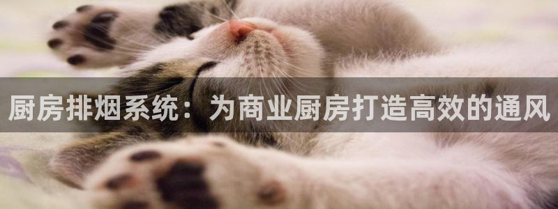 尊龙新版官网网页版：厨房排烟系统：为商业厨房打造高效的通风