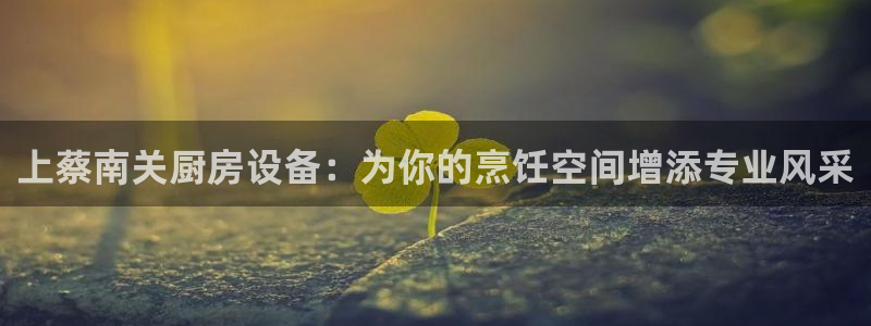 尊龙凯时网娱乐官网：上蔡南关厨房设备：为你的烹饪空间增添专业