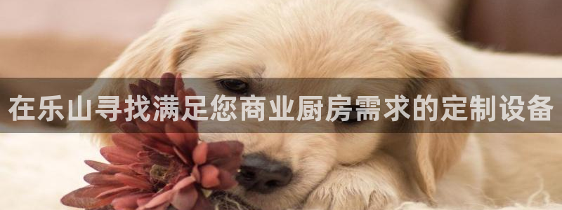 尊龙凯时人生就是博·(中国)：在乐山寻找满足您商业厨房需求的