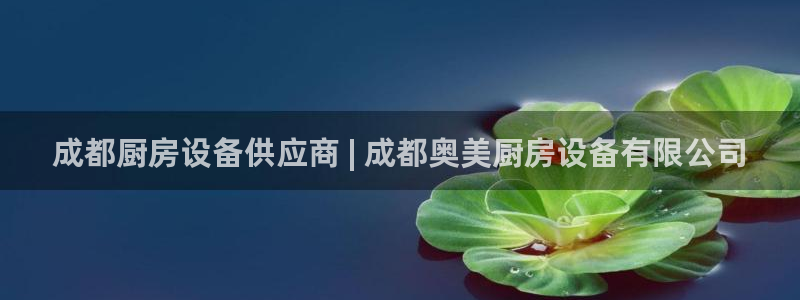 凯时kb88官方：成都厨