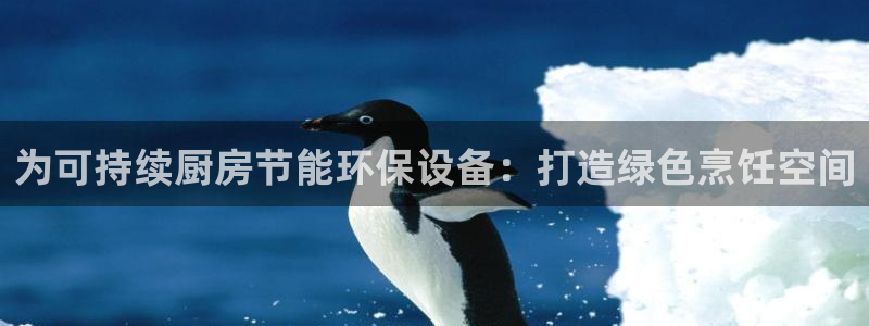 尊龙注册码：为可持续厨房节能环保设备：打造绿色烹饪空间