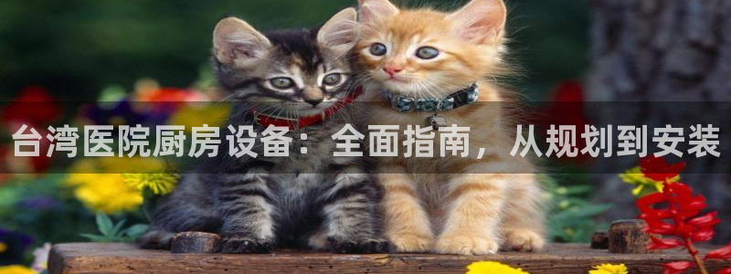 尊龙凯时是直营吗：台湾医院厨房设备：全面指南，从规划到安装