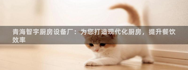 尊龙凯时提现不了：青海智宇厨房设备厂：为您打造现代化厨房，提