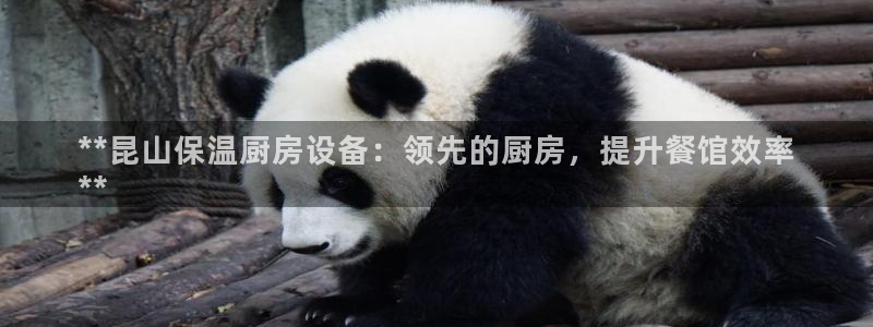 尊龙凯时网娱乐最新版：**昆山保温厨房设备：领先的厨房，提升