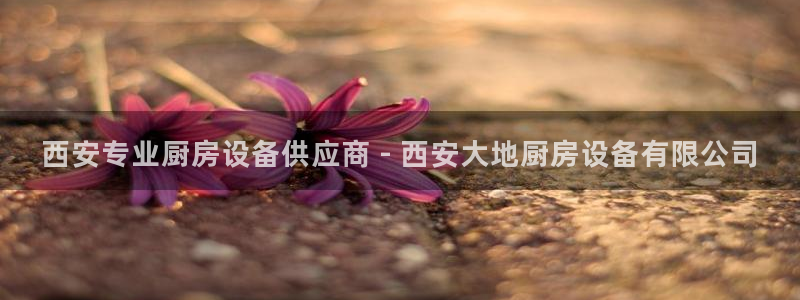 尊龙凯时账号异常审核提不了款怎么办：西安专业厨房设备供应商 