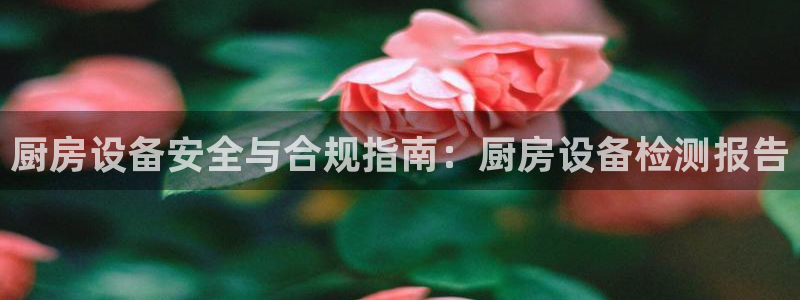 尊龙凯时官网平台：厨房设备安全与合规指南：厨房设备检测报告