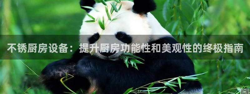 尊龙官网手机版：不锈厨房设备：提升厨房功能性和美观性的终极指