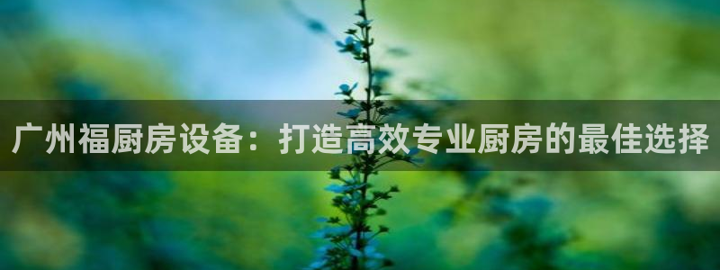 尊龙电子：广州福厨房设备：打造高效专业厨房的最佳选择