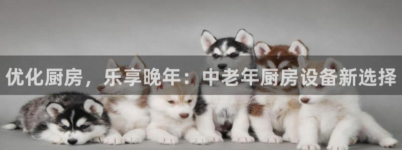 尊龙凯时 人生就是搏!：优化厨房，乐享晚年：中老年厨房设备新