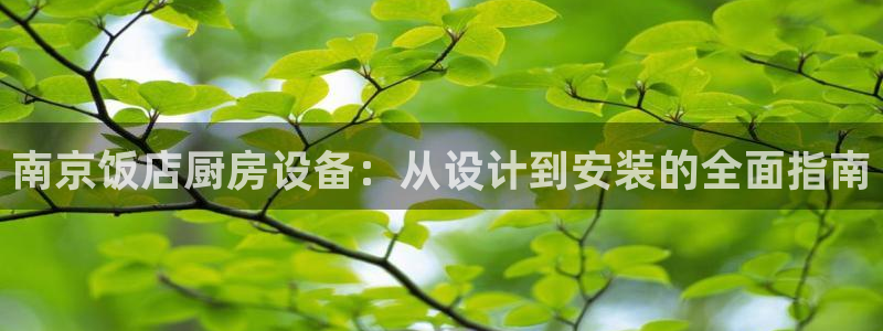尊龙凯时 人生就是搏 平台：南京饭店厨房设备：从设计到安装的