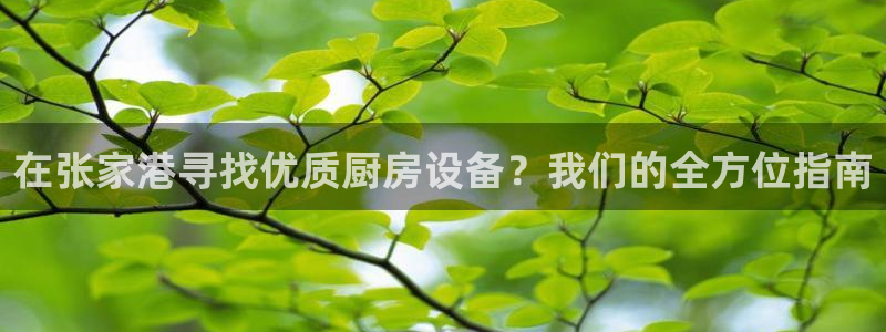 尊龙现金d88：在张家港寻找优质厨房设备？我们的全方位指南