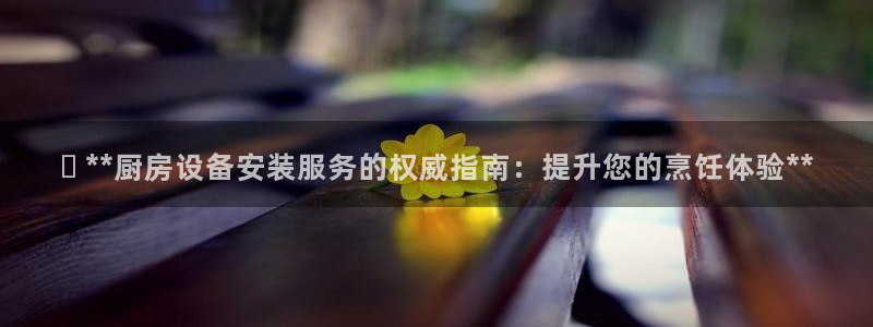 尊龙人品怎么样：✅ **厨房设备安装服务的权威指南：提升您的