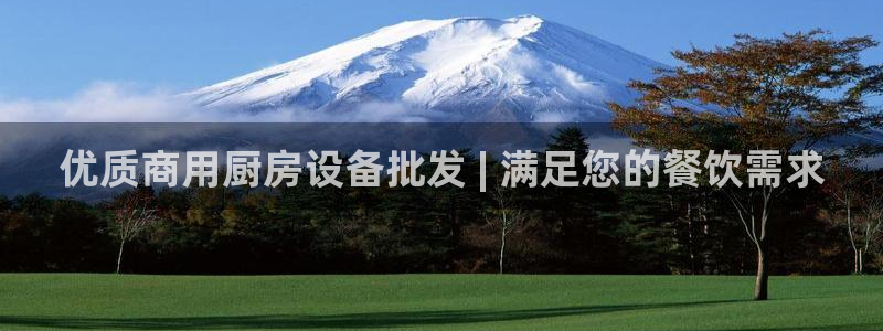 尊龙z6集团：优质商用厨房设备批发 | 满足您的餐饮需求