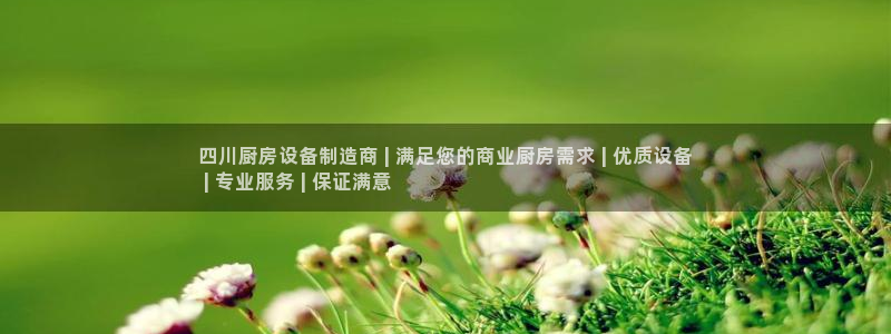 尊龙官方网站最新版V9.