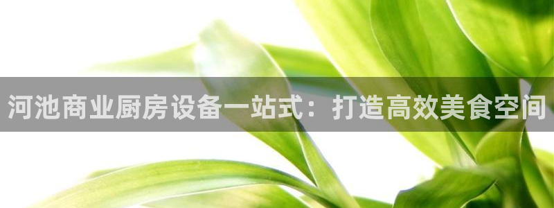 agz6尊龙凯时集团：河
