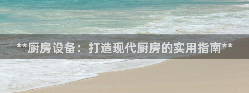 尊龙 中国：**厨房设备：打造现代厨房的实用指南**