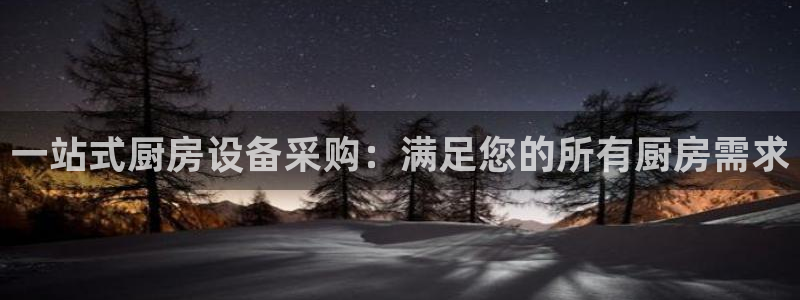 尊龙凯时vip：一站式厨房设备采购：满足您的所有厨房需求
