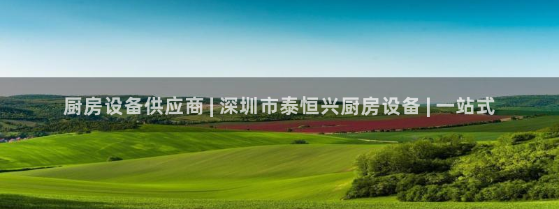 尊龙凯时返现：厨房设备供应商 | 深圳市泰恒兴厨房设备 | 