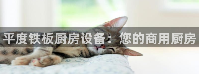 尊龙ktv怎么样：平度铁板厨房设备：您的商用厨房
