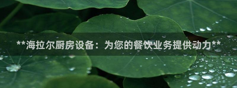 尊龙凯时人生就是博·(中国)官网官：**海拉尔厨房设备：为您