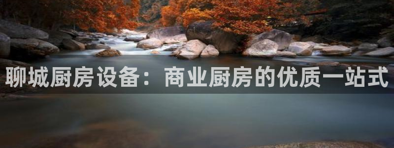 尊龙集团官网：聊城厨房设备：商业厨房的优质一站式