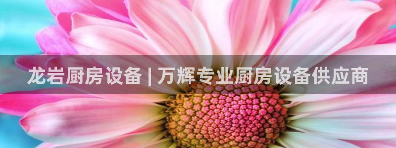 尊龙 10：龙岩厨房设备