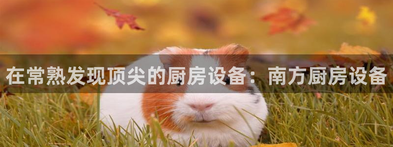 凯时k88最新：在常熟发现顶尖的厨房设备：南方厨房设备