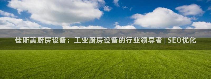 尊龙凯时下载链接：佳斯美厨房设备：工业厨