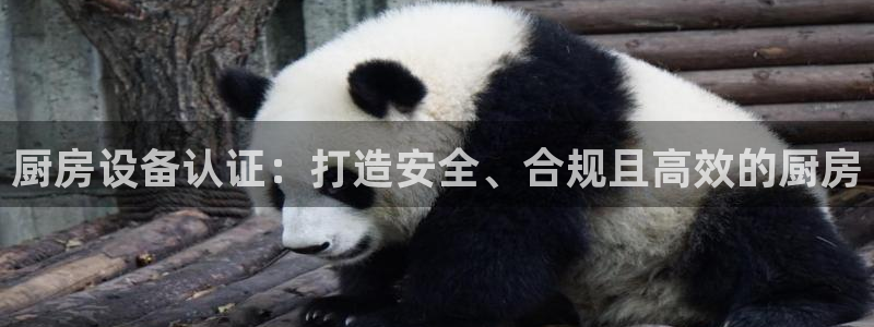凯时首页地址：厨房设备认