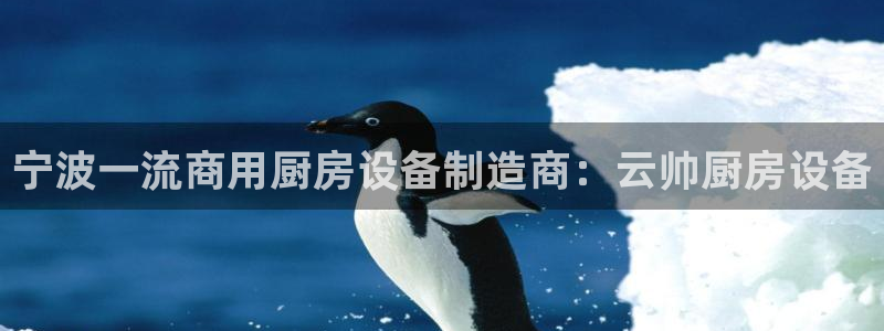 尊龙集团：宁波一流商用厨
