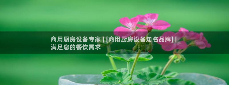 尊龙z6集团：商用厨房设备专家 | [商用厨房设备知名品牌]
