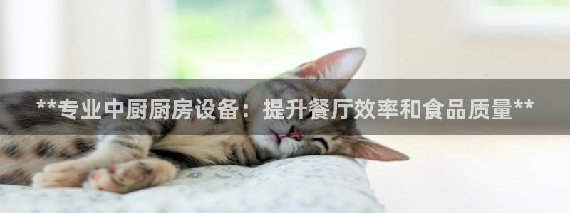 尊龙网址是多少：**专业中厨厨房设备：提