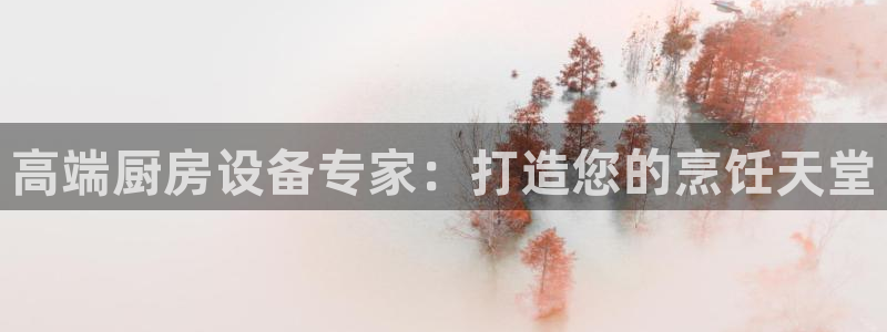 尊龙 ag：高端厨房设备专家：打造您的烹