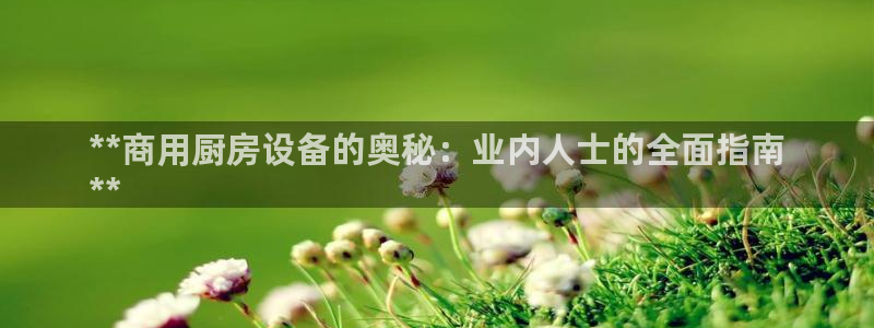 尊龙新版app首页：**商用厨房设备的奥秘：业内人士的全面指