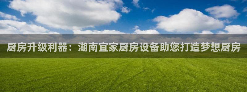 尊龙凯时人生就是搏!官网：厨房升级利器：湖南宜家厨房设备助您